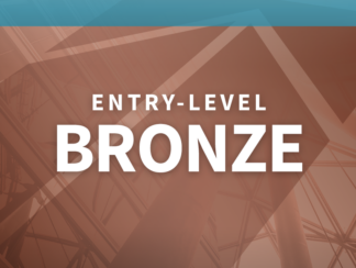 Entry-Level Bronze